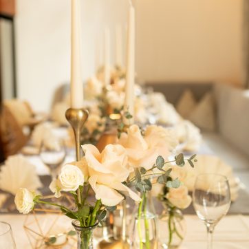 Intime Hochzeit im Standesamt Arnsdorf bei Dresden – Brautpaarshooting mit zwei Hunden