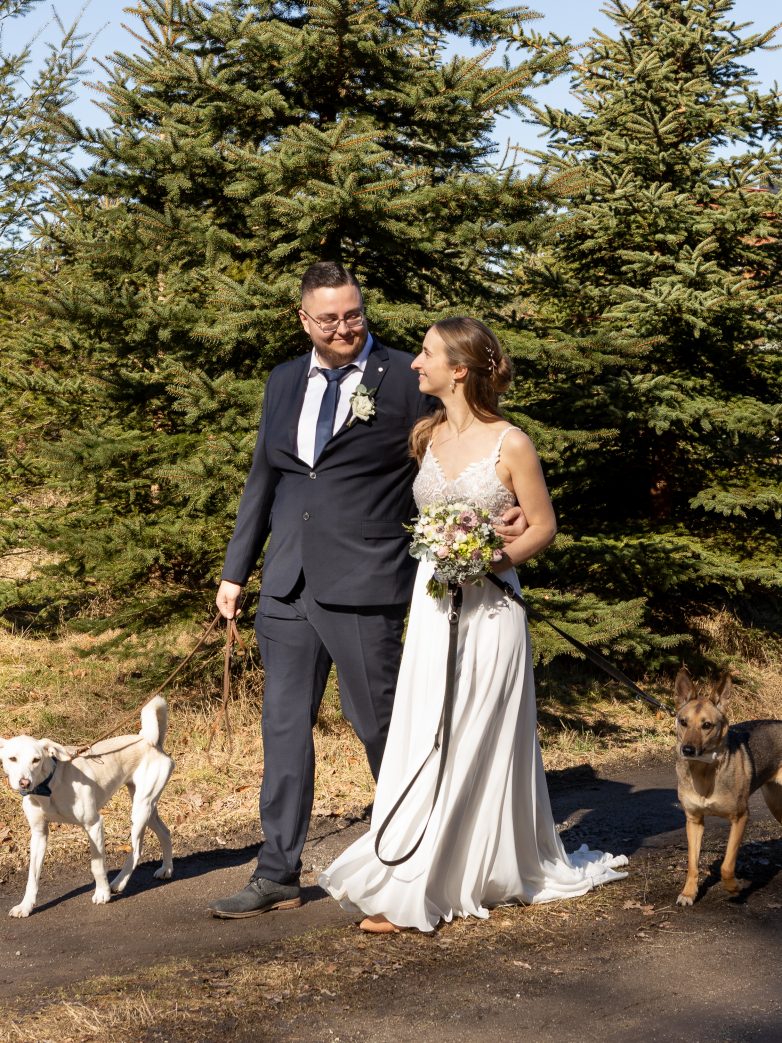 Intime Hochzeit im Standesamt Arnsdorf bei Dresden – Brautpaarshooting mit zwei Hunden