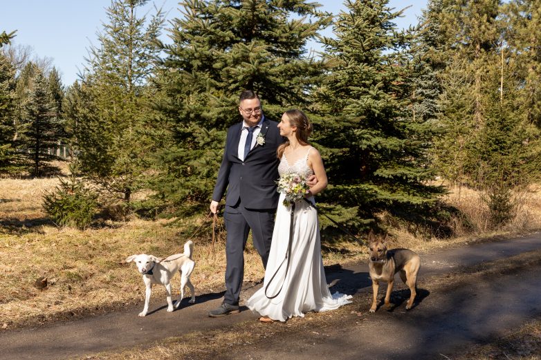 Intime Hochzeit im Standesamt Arnsdorf bei Dresden – Brautpaarshooting mit zwei Hunden